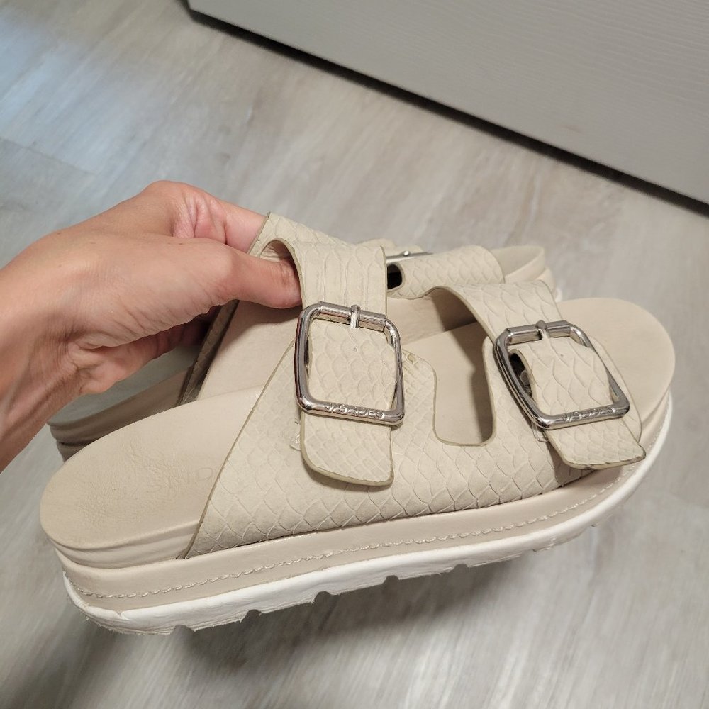 Slides